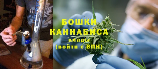 хмурый Горняк