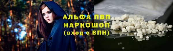 хмурый Горняк