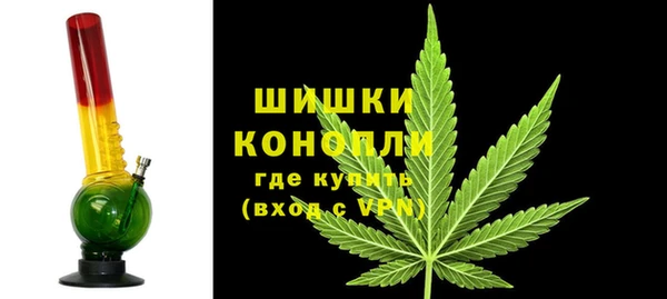 не бодяженный Горно-Алтайск
