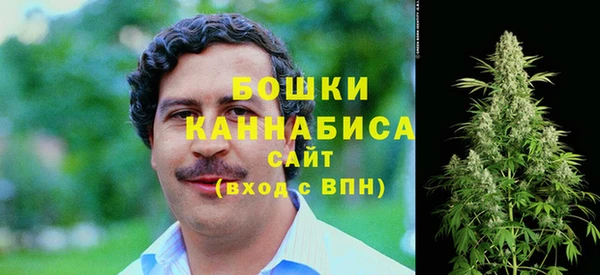 хмурый Горняк