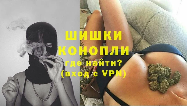 не бодяженный Горно-Алтайск