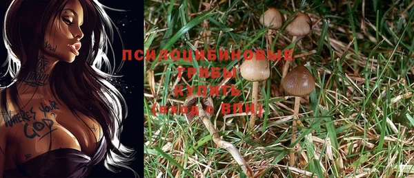хмурый Горняк