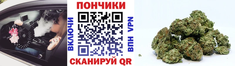 Каннабис OG Kush  Купить закладки  Приволжск 